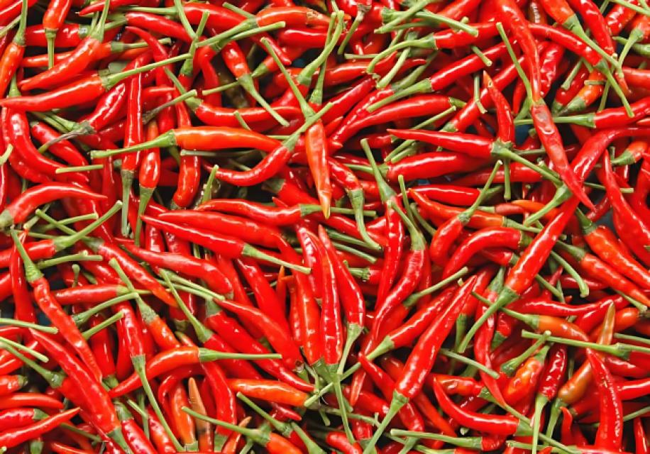 Ớt tươi