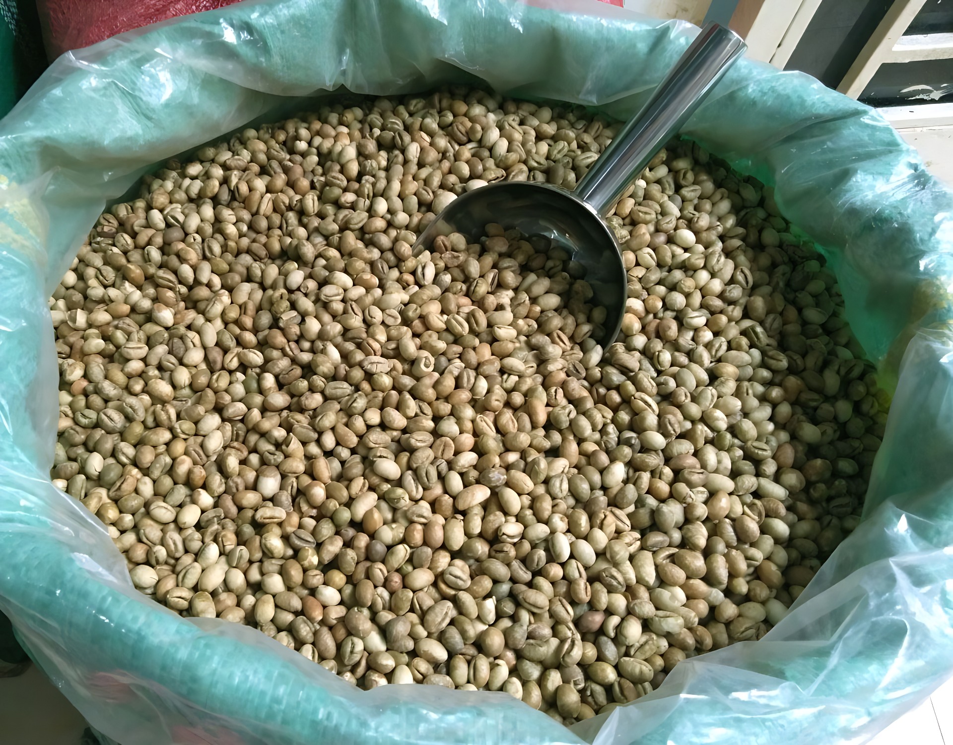 Cà phê Arabica