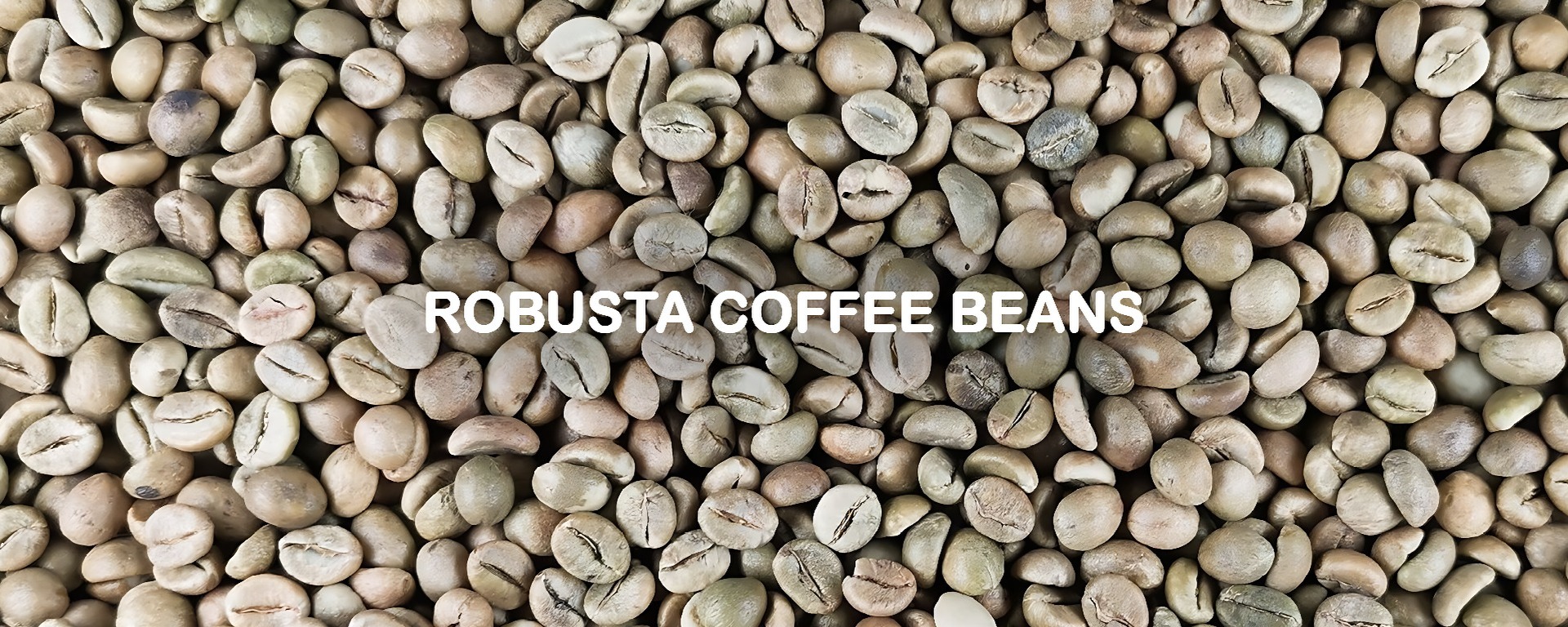 Cà phê Robusta