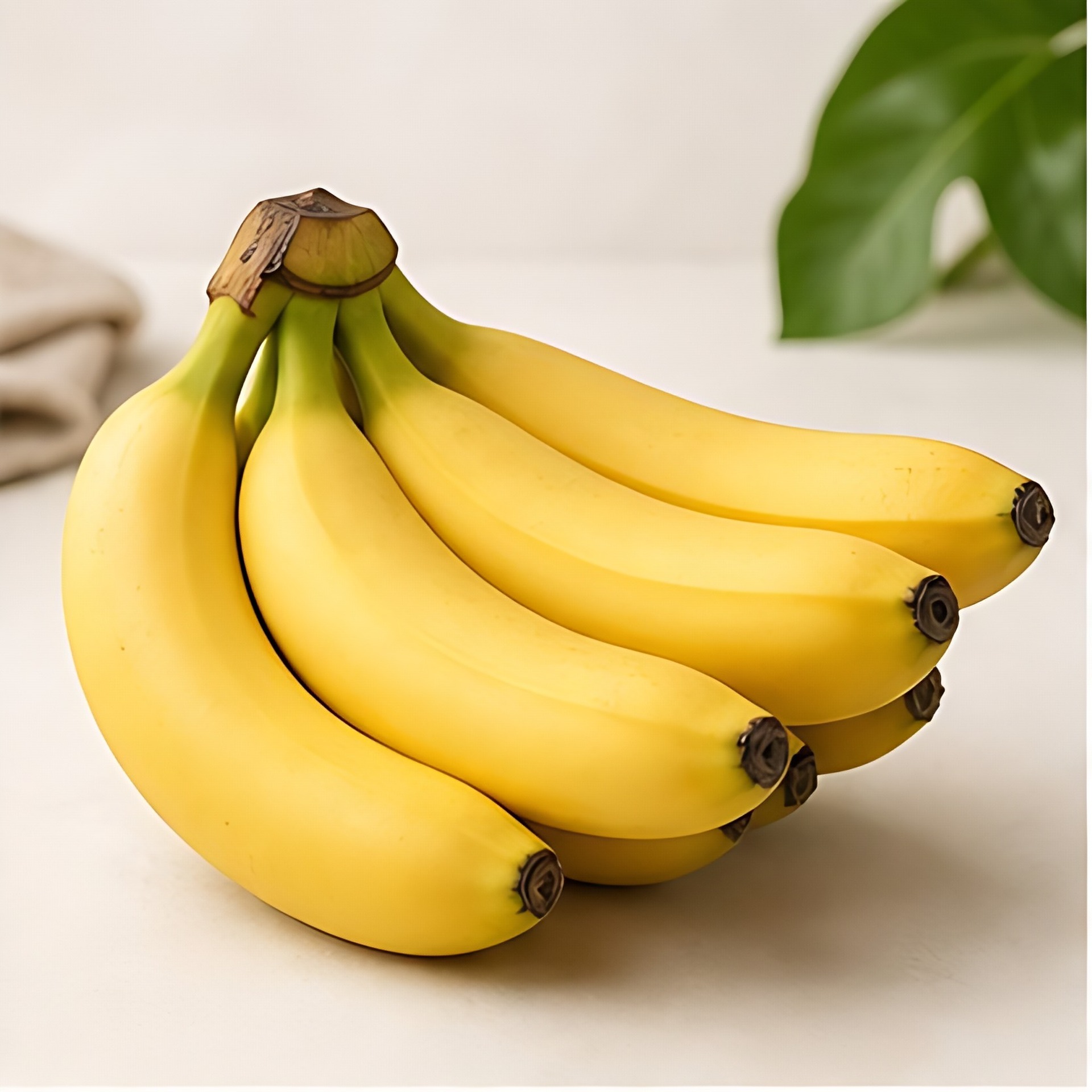 Chuối tươi tại vùng trồng của Green Valley Fruits